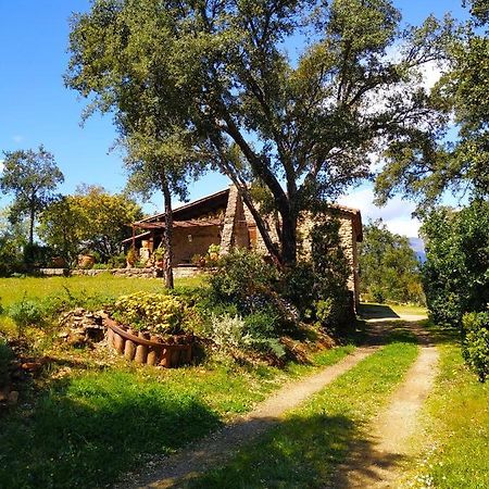 La Simona Casa Rural Perales del Puerto Buitenkant foto