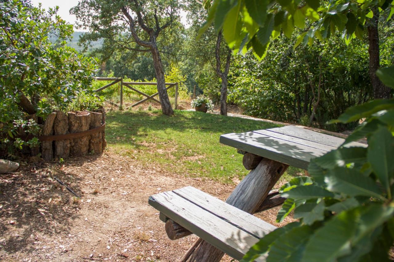 La Simona Casa Rural Perales del Puerto Buitenkant foto
