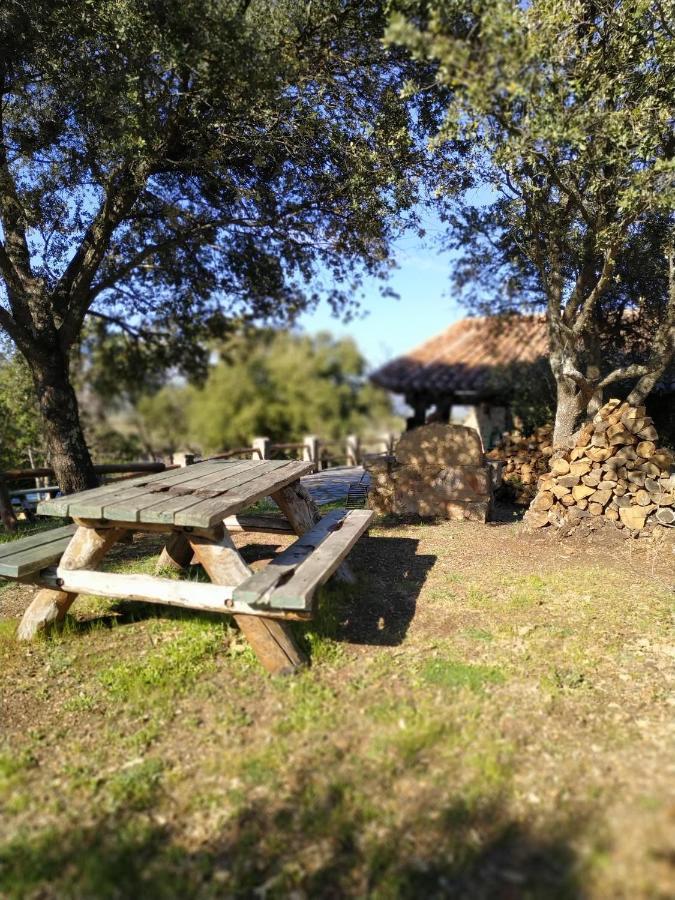 La Simona Casa Rural Perales del Puerto Buitenkant foto